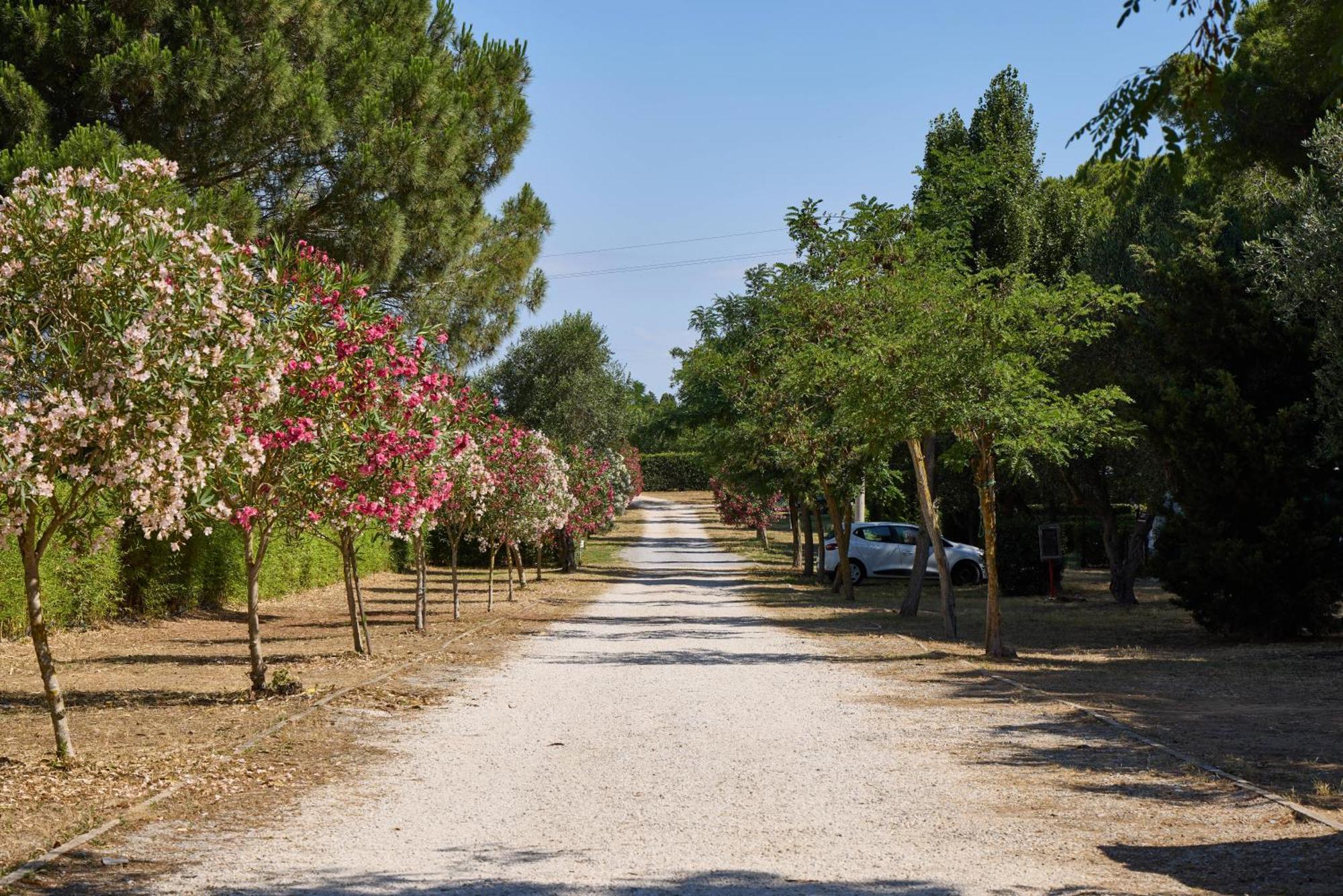Camping Village Costa D'Argento Capalbio Esterno foto
