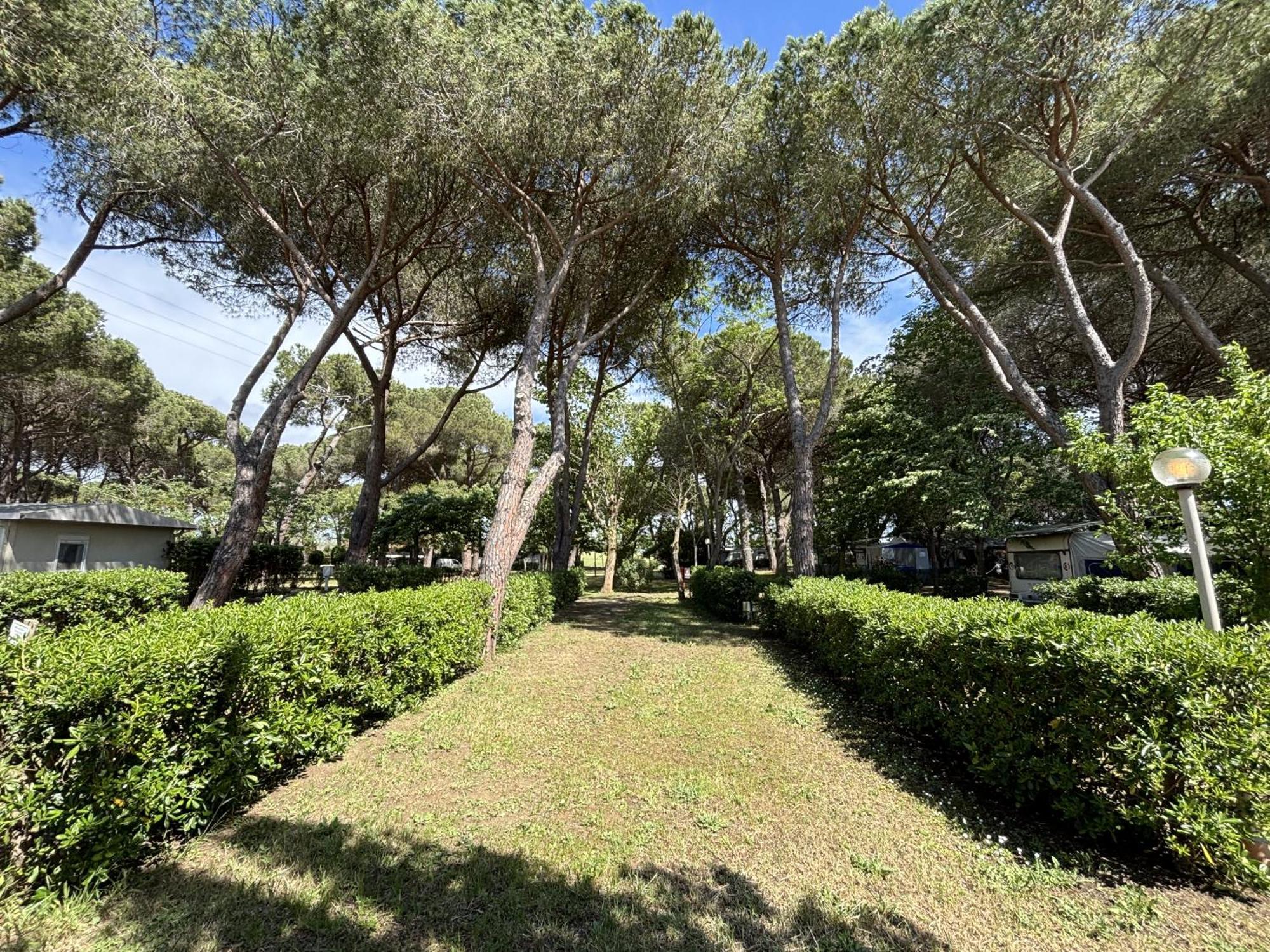 Camping Village Costa D'Argento Capalbio Esterno foto