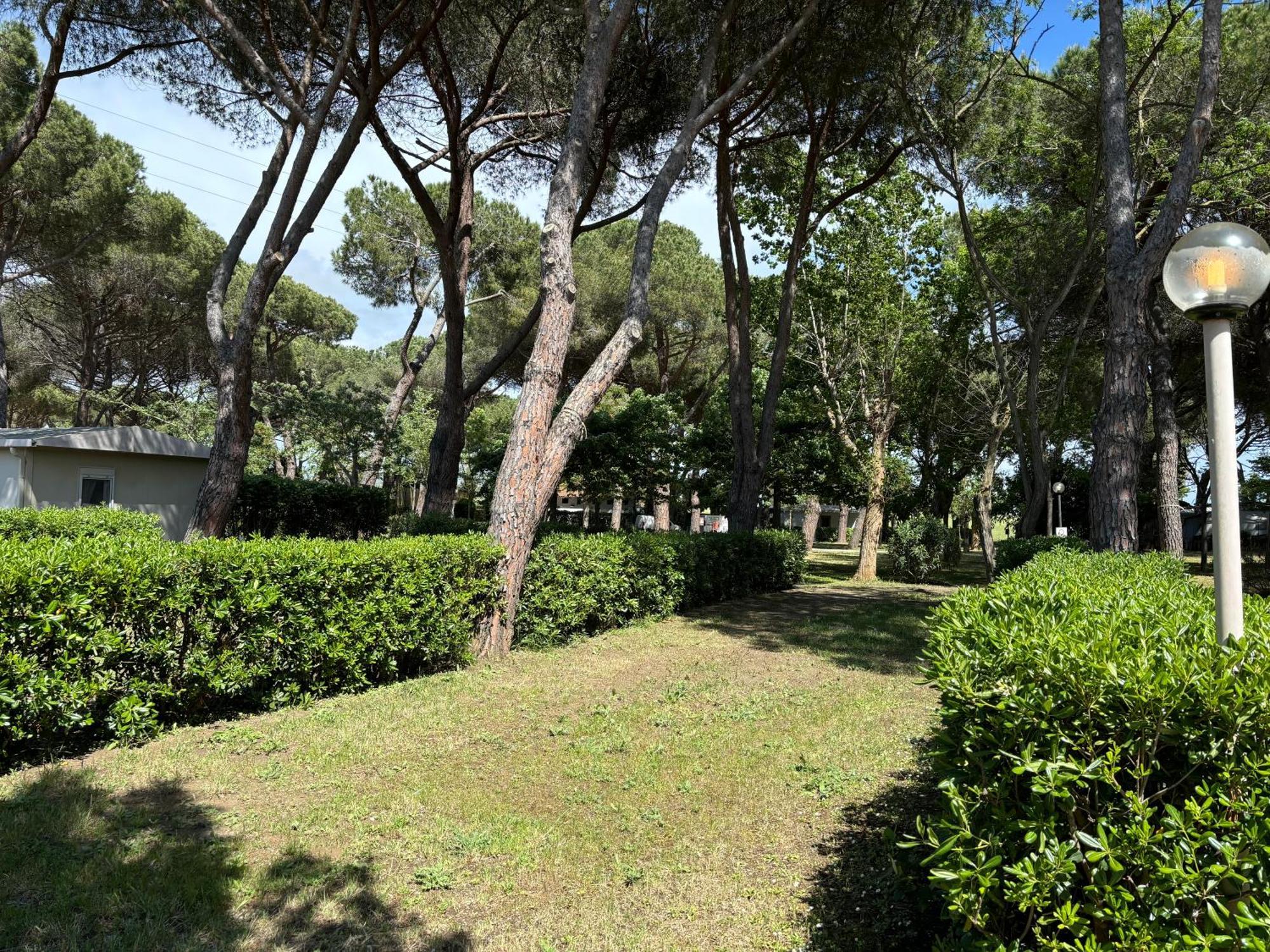Camping Village Costa D'Argento Capalbio Esterno foto