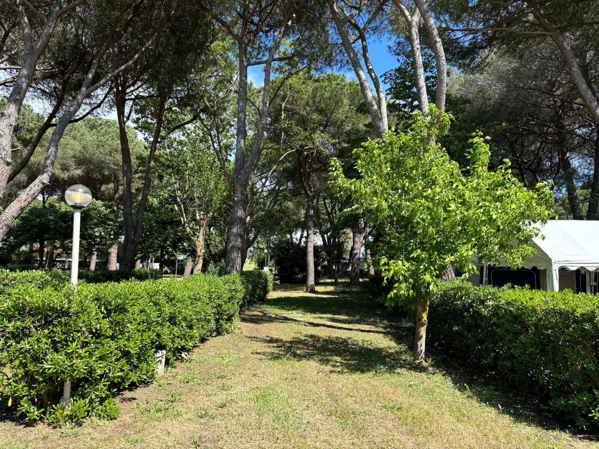 Camping Village Costa D'Argento Capalbio Esterno foto